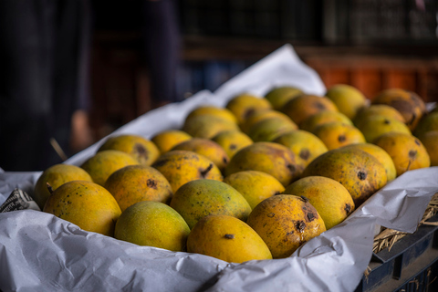 Visita a los mercados y templos de Bombay