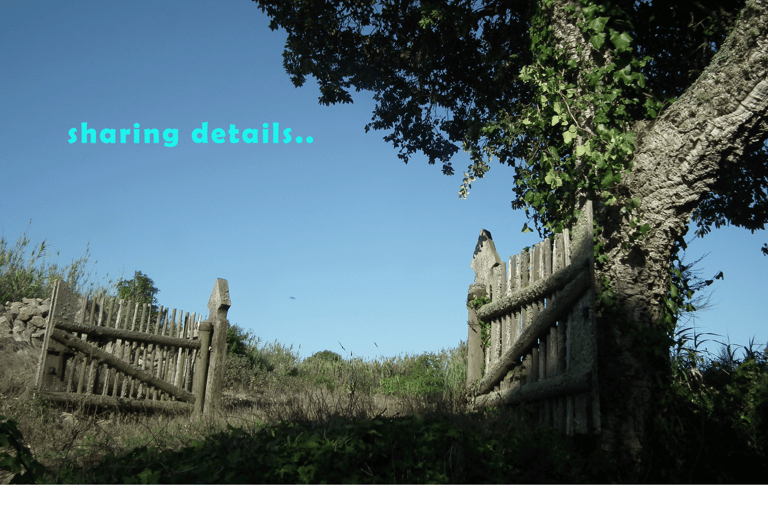 Multi-Mode Sintra-Cascais Nat-Park, Epic Land Full Day Tour! Grand Tour with Meeting Point in Sintra