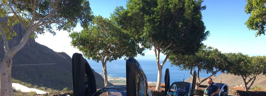 Tenerife : Visite privée de Renault Twizy