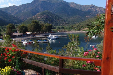 Cargèse : Excursion d'une journée à Scandola avec arrêt déjeuner à GirolataDe Cargèse : Scandola en bateau RIB et déjeuner à Girolata