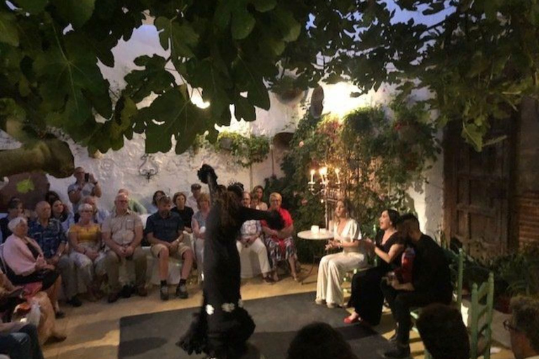 Live Flamenco Show at Tablao La Puerta Ancha with Tapas Flamenco Show with Tapas ROW 1