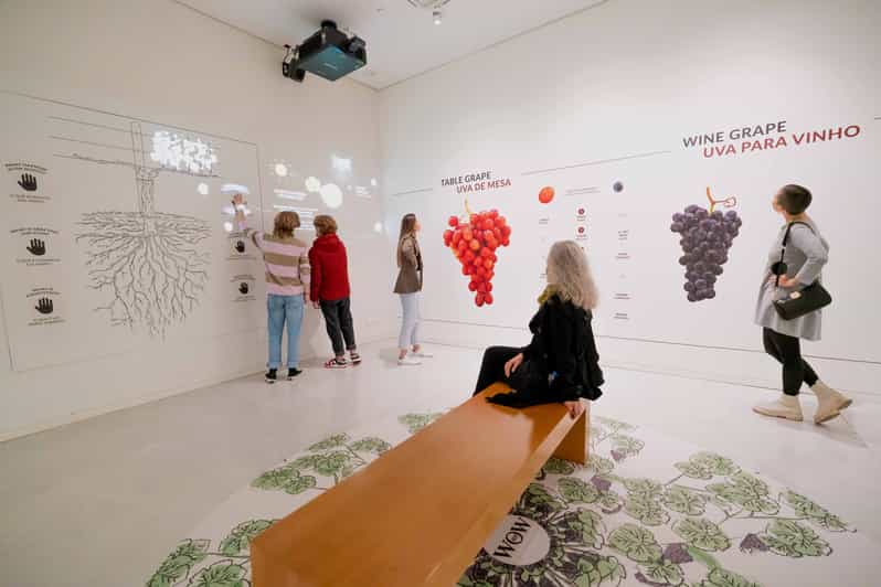 Porto Entry Ticket The Wine Experience at WOW GetYourGuide