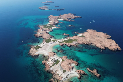 Snorkling på Daymaniyat-öarna