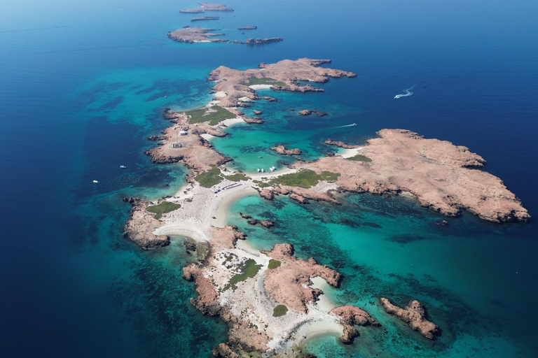 Mascate : excursion de plongée en apnée dans les îles Daymaniyat