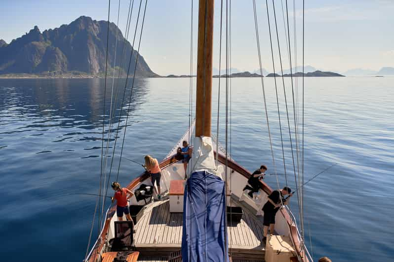 fishing trips in lofoten islands