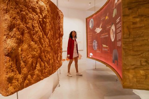 Porto: toegangsbewijs Planet Cork Museum bij WOW