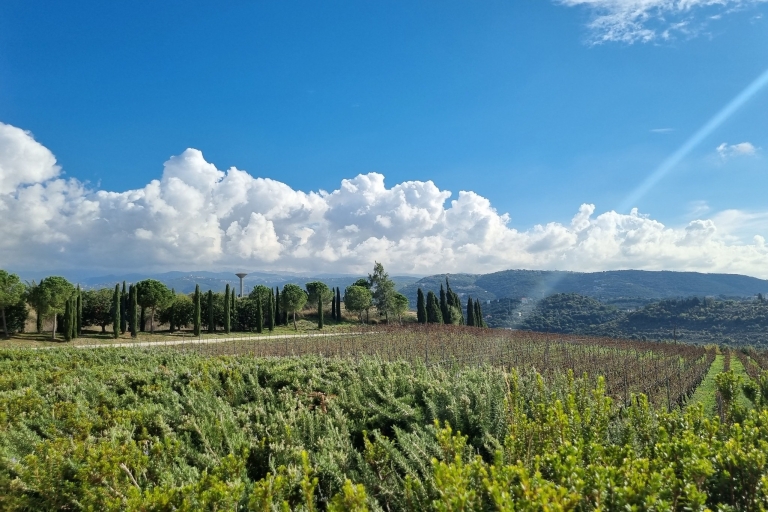 Lebanese wineries guided tour with tastings & lunch Wineries tour, wine tasting & lunch