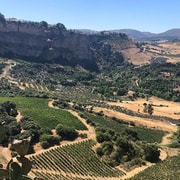 From Marbella: Ronda Tour Wineries Tour with Lunch