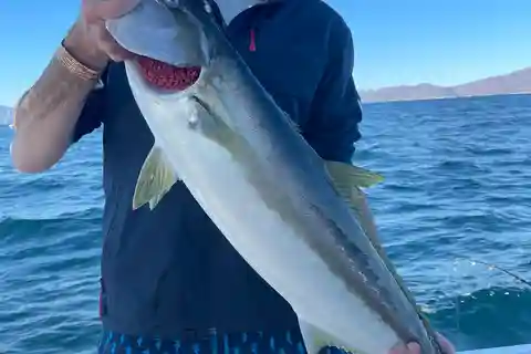 Loreto: Private Deep-Sea Fishing Trip with Gear and Lunch