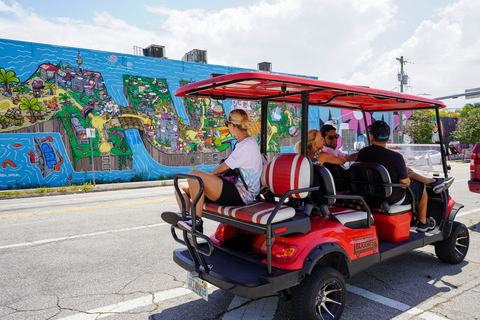 Wynwood Art District 1-godzinna wycieczka Wynwood Buggies Street Art TourWynwood Art District: 1-godzinna wycieczka artystyczna po Buggy Street