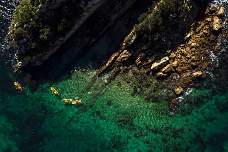 لشبونة جولة بقوارب الكاياك في منتزه أرابيدا الطبيعي، سيتوبال، سيسيمبرا