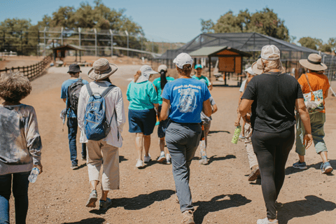 Alpino: Leones Tigres y Osos - Experiencia de alimentación en el santuario