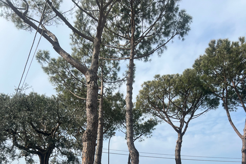 Sorrento: excursão de caminhada das colinas ao marPasseio público