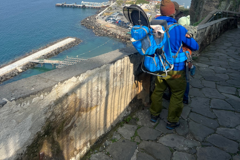 Sorrento: excursão de caminhada das colinas ao marPasseio público