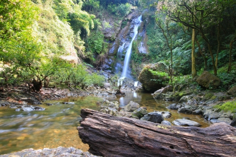 'Little Amazon' and Waterfalls