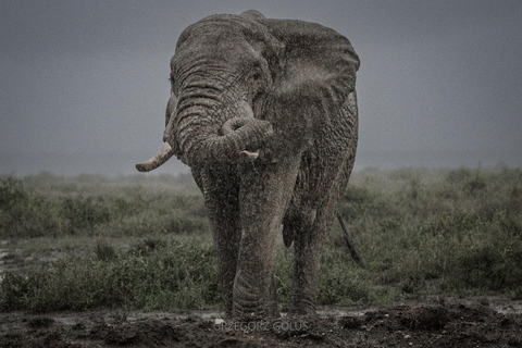 3-Day Amboseli and Tsavo East Safari Tour