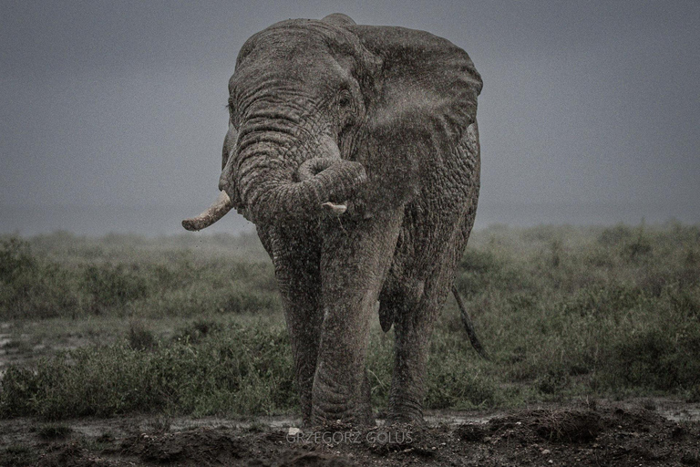 3-Day Amboseli and Tsavo East Safari Tour