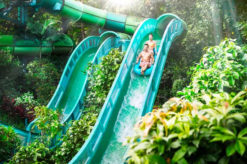 Singapour Billet Pour Le Parc Aquatique Adventure Cove Getyourguide