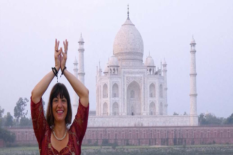 Da Delhi: Tour privato di Agra con ingresso veloce al Taj mahal