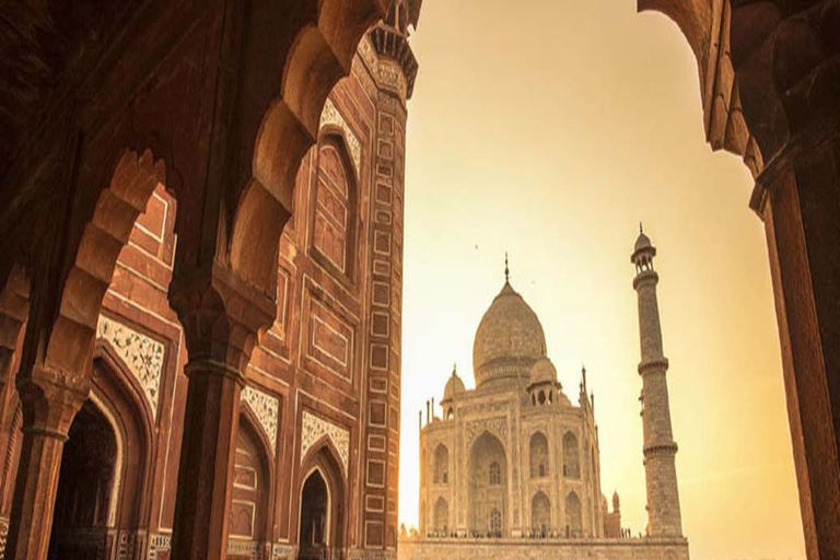 Da Delhi: Tour privato di Agra con ingresso veloce al Taj mahal