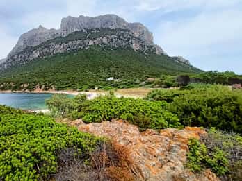 Z San Teodoro: Mini wycieczka po archipelagu Tavolara