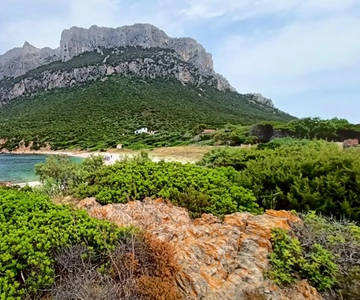 From San Teodoro: Tavolara Archipelago Mini Tour