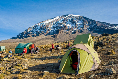 Climb Kilimanjaro for 7 Days Machame Route