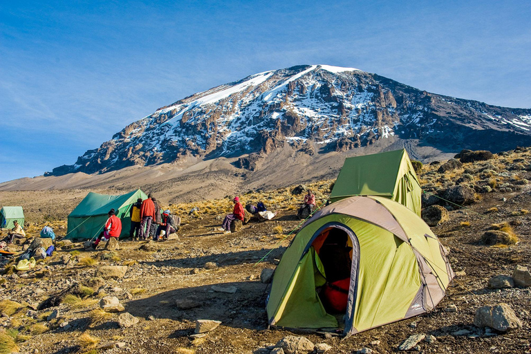 Climb Kilimanjaro for 7 Days Machame Route