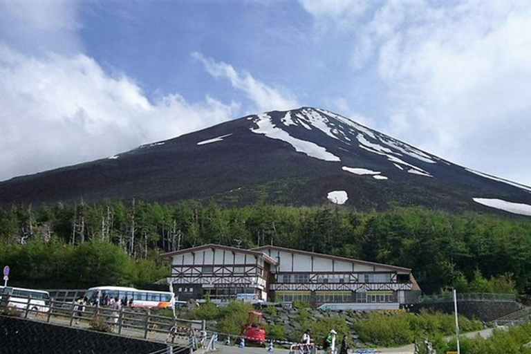 Fuji: kultur, skog och utsikt – privat skräddarsydd turFuji-kultur, skog och naturskön utsikt: Privat skräddarsydd tur