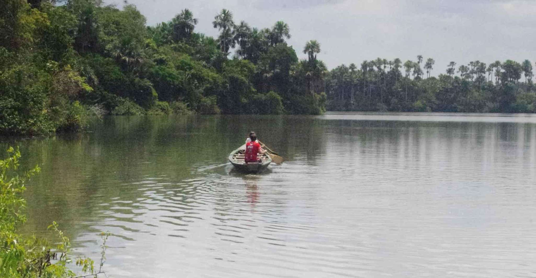 Tambopata, Excursão de Floresta Amazônica de Dia Múltiplo com Guia Local - Hizvo