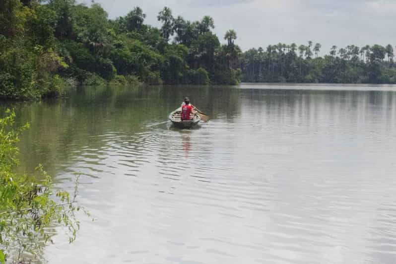 Tambopata: Multi-Day Amazon Rainforest Tour With Local Guide | GetYourGuide