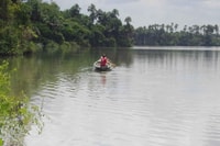 Tambopata, Multi-Day Amazon Rainforest Tour mit lokalem Guide - Hizvo