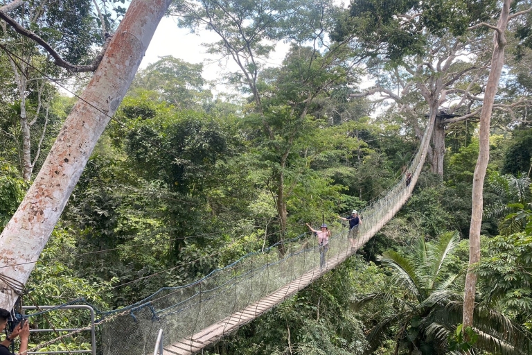 Tambopata Amazonas Dschungel 4D/3NAbholung vom Busbahnhof