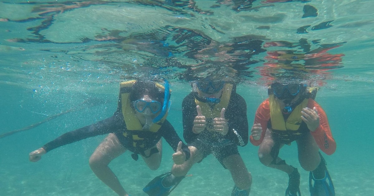 Excursión de snorkel en Cancún GetYourGuide