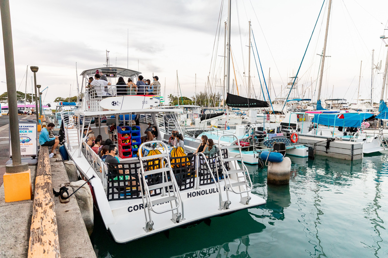 Waikiki: esnórquel en los cañones de las tortugasCrucero de 2 horas con esnórquel para mayores de 3 años