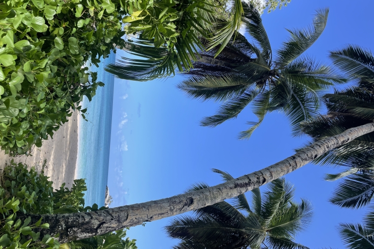 Isla de Mahe: Excursión privada de un día a la isla de MaheExcursión privada de día completo a la isla de Mahe