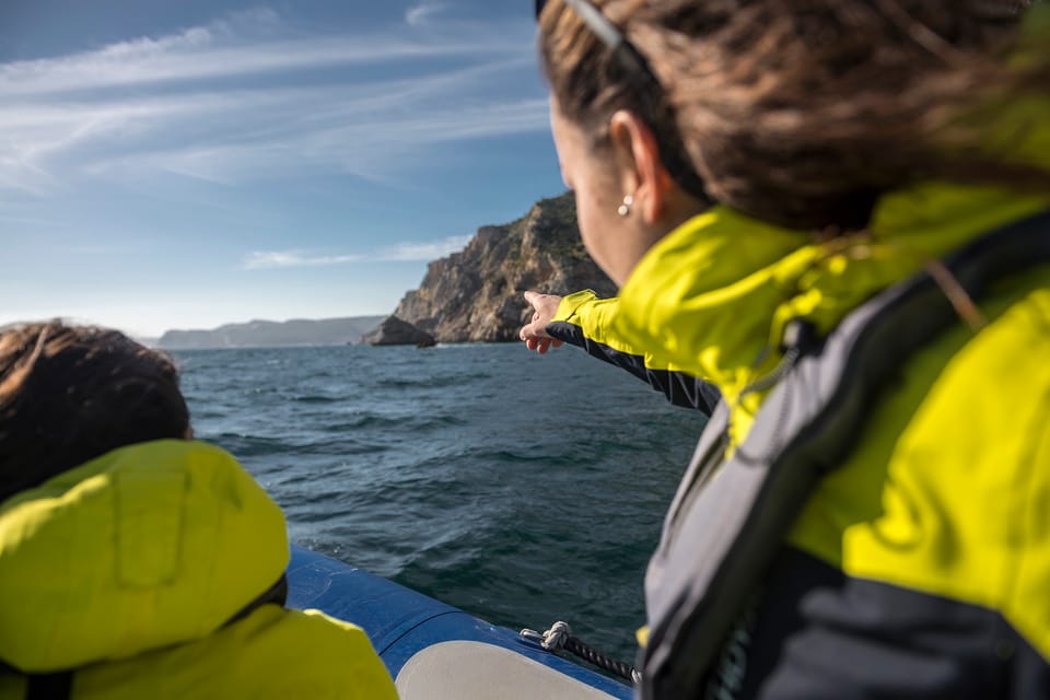 Sesimbra Excursi N En Lancha R Pida Por El Parque Natural De Arrabida