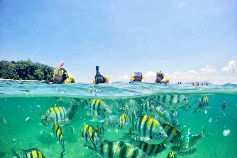 Lombok: Private Snorkeling,Gili Trawangan,Gili Meno,Gili Air Start From: Tetebatu/Lembar Port/Gili Mas Port