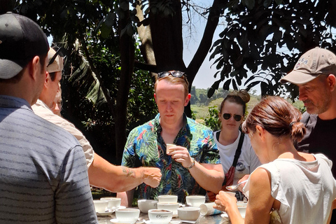 TOUR GIORNALIERO DELLA FATTORIA DEL CAFFÈ FAIRVIEW