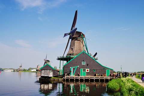 Prywatna wycieczka jednodniowa z Amsterdamu do Rotterdamu i Kinderdijk