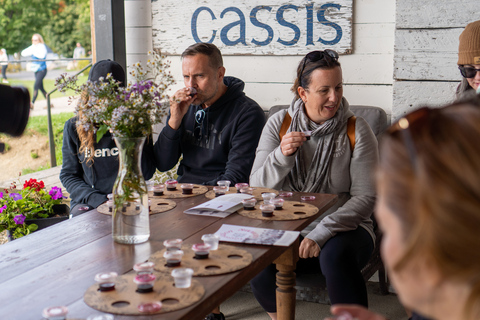 Île d'Orléans: Food Tasting and Cultural E-bike Tour