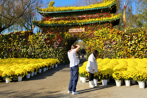 From Seoul: Buyeo Day Trip with Baekje Kingdom History