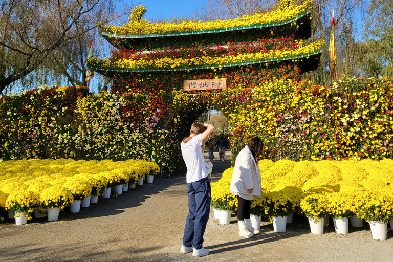 From Seoul: Buyeo Day Trip with Baekje Kingdom History