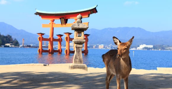 3 Abfahrten: Ausflug nach Hiroshima und Miyajima mit indischem Mittagessen