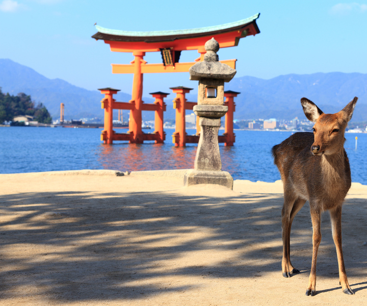 From Hiroshima: Hiroshima and Miyajima Island 1-Day Bus Tour
