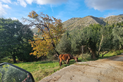 Dubrovnik: 3-hour ATV Safari Tour with Hotel Transfers
