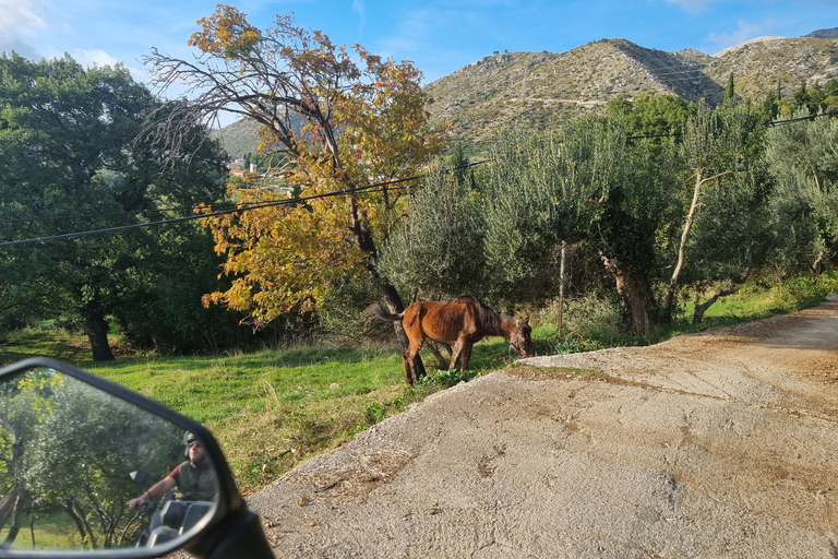 Dubrovnik: 3-hour ATV Safari Tour with Hotel Transfers
