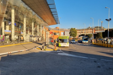 Navette de l'aéroport de Naples vers Sorrento et la côte de SorrentoAéroport de Naples - Pompéi