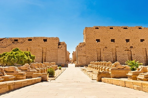 Day Tour From Safaga to Luxor