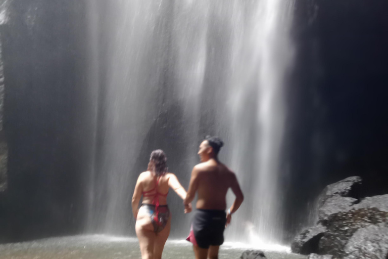 Entdecke die versteckten Juwelen der Wasserfälle in UbudPrivate Gruppe mit englischsprachigem Guide Tour